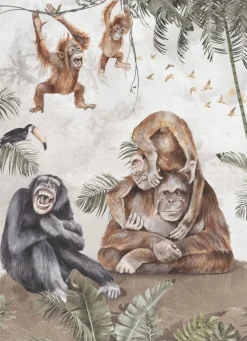 Best Behang apen Dieren|Behang