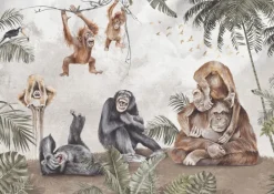 Best Behang apen Dieren|Behang