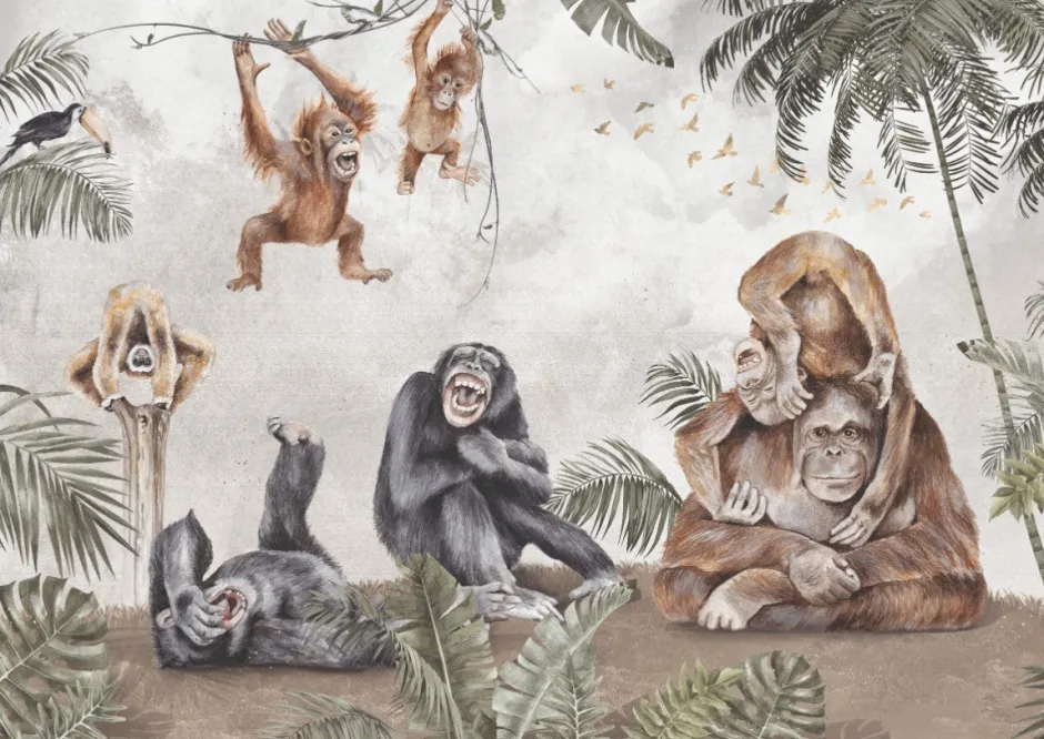 Best Behang apen Dieren|Behang