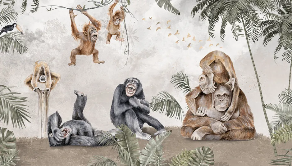 Best Behang apen Dieren|Behang