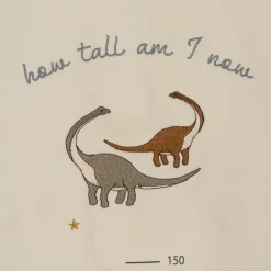 Outlet Groeimeter | Dino | Decoraties & Accessoires