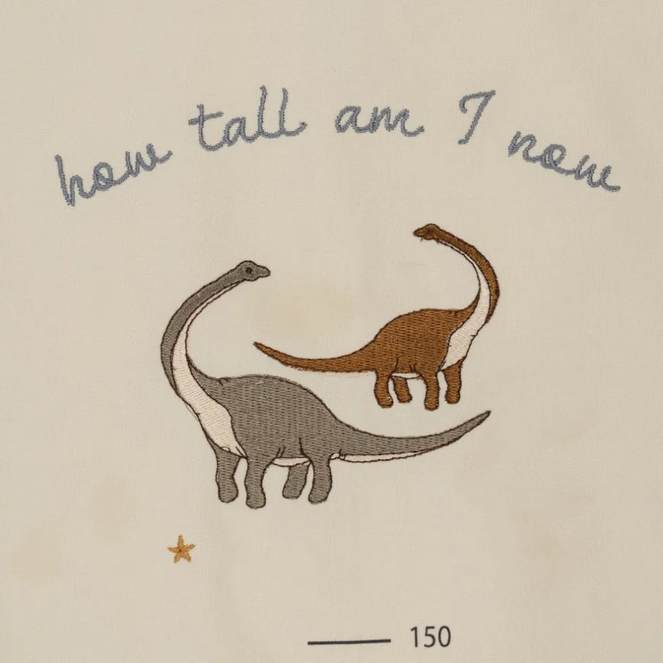 Outlet Groeimeter | Dino | Decoraties & Accessoires