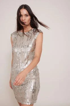 Hot Jurk Demi Tulsi | Silver | DAMES Jurken