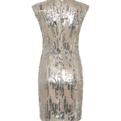 Hot Jurk Demi Tulsi | Silver | DAMES Jurken