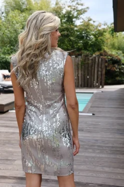 Hot Jurk Demi Tulsi | Silver | DAMES Jurken