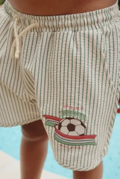 Online Swimshorts seer Asnou grs | Tea stripe | Zwemkleding