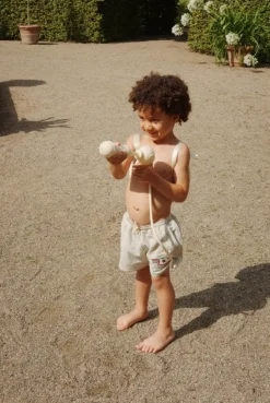 Online Swimshorts seer Asnou grs | Tea stripe | Zwemkleding